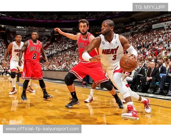 公牛队拼劲十足，期待季后赛突破，公牛队最新队员名单