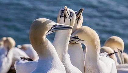 开云体育开云-中国队蛙泳调整不够理想，中国蛙泳冠军是谁