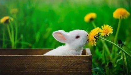 开云体育开云-中国队蛙泳调整不够理想，中国蛙泳冠军是谁